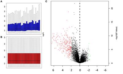 Screening and Identification of Muscle-Specific Candidate Genes via Mouse Microarray Data Analysis